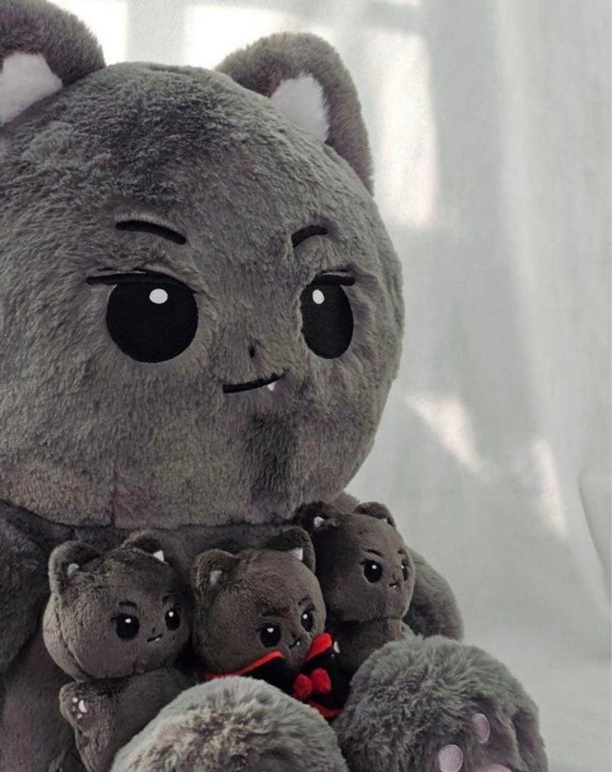 ほ*ち様 【新品未開封】ENHYPEN ジェイ　40cmドール　マスター【希少】