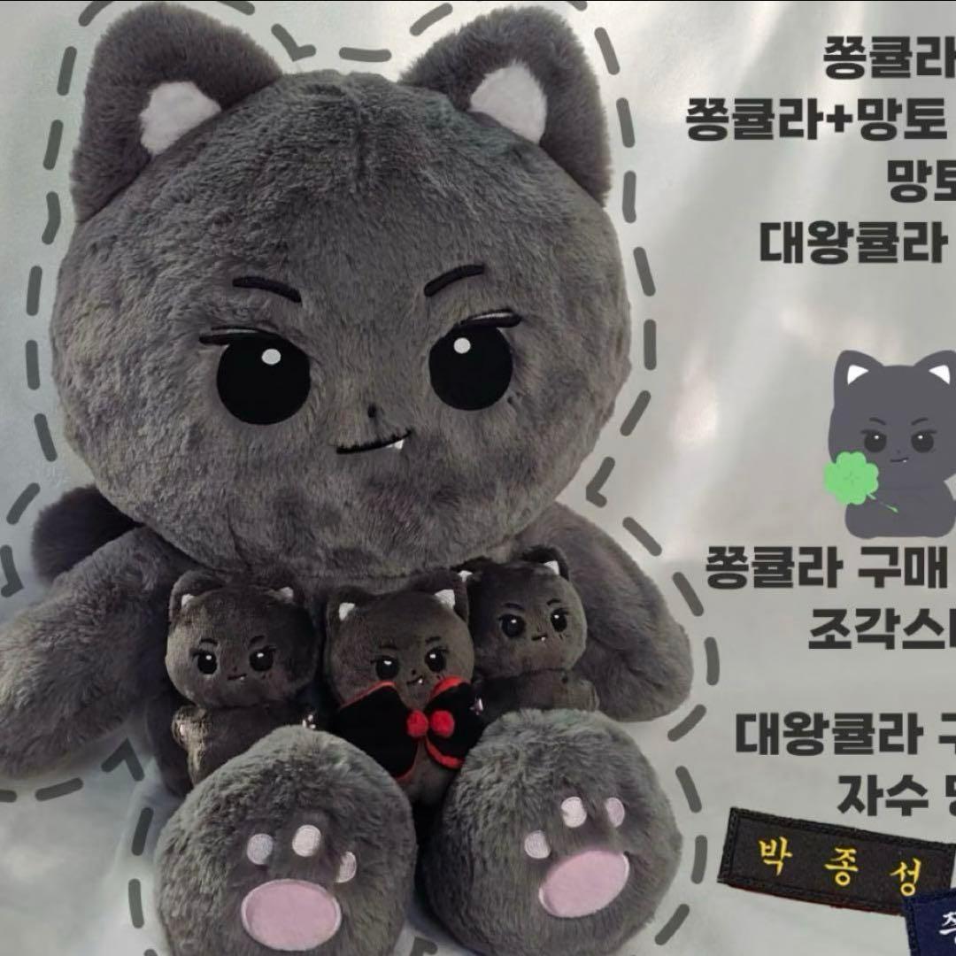 ほ*ち様 【新品未開封】ENHYPEN ジェイ　40cmドール　マスター【希少】