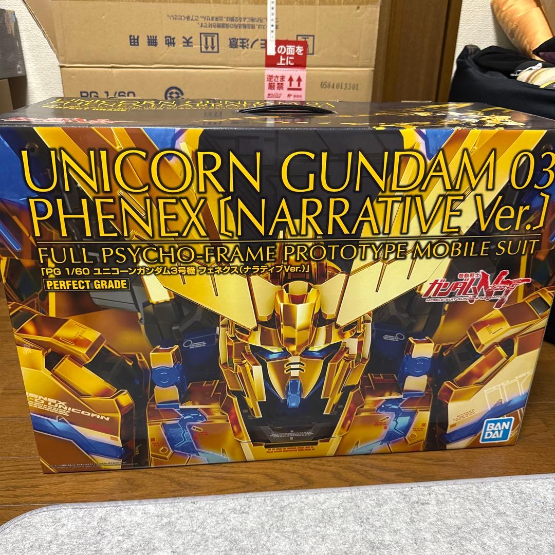PG フェネクス (ナラティブver.) 1/60