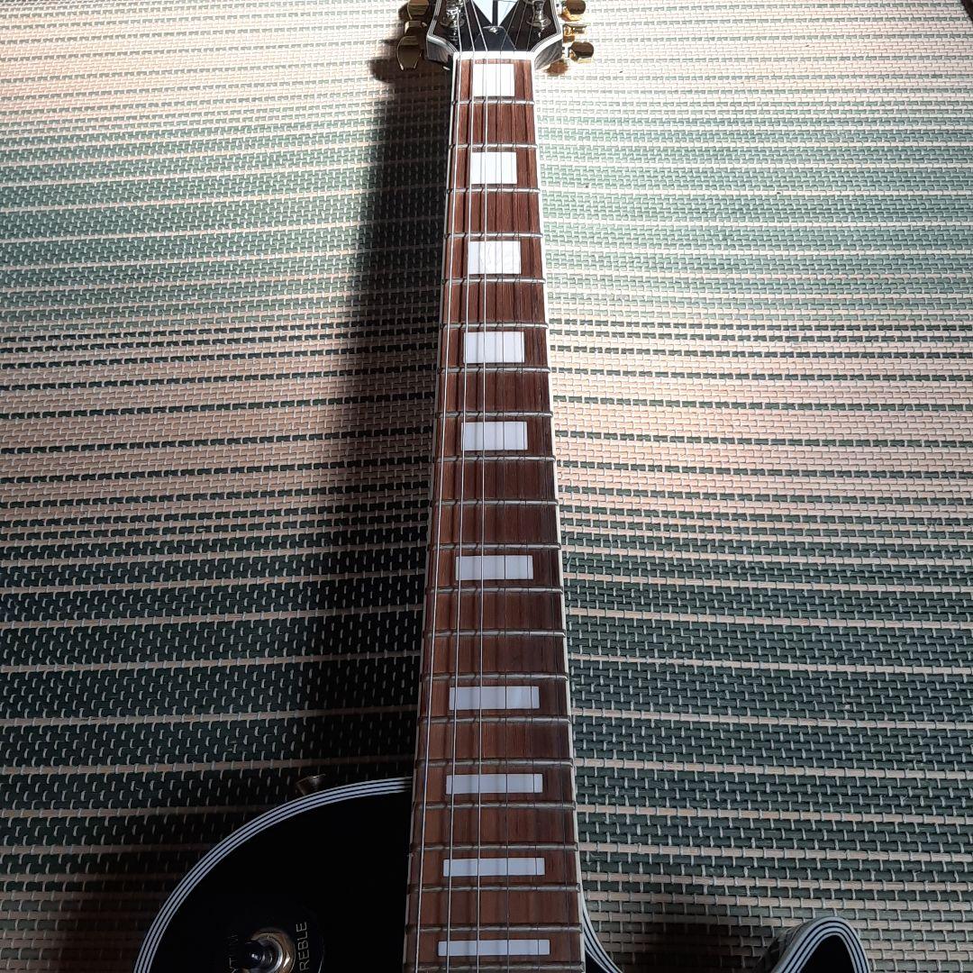 MAISON レスポール 弦新品 ソフトケース、おまけ付き