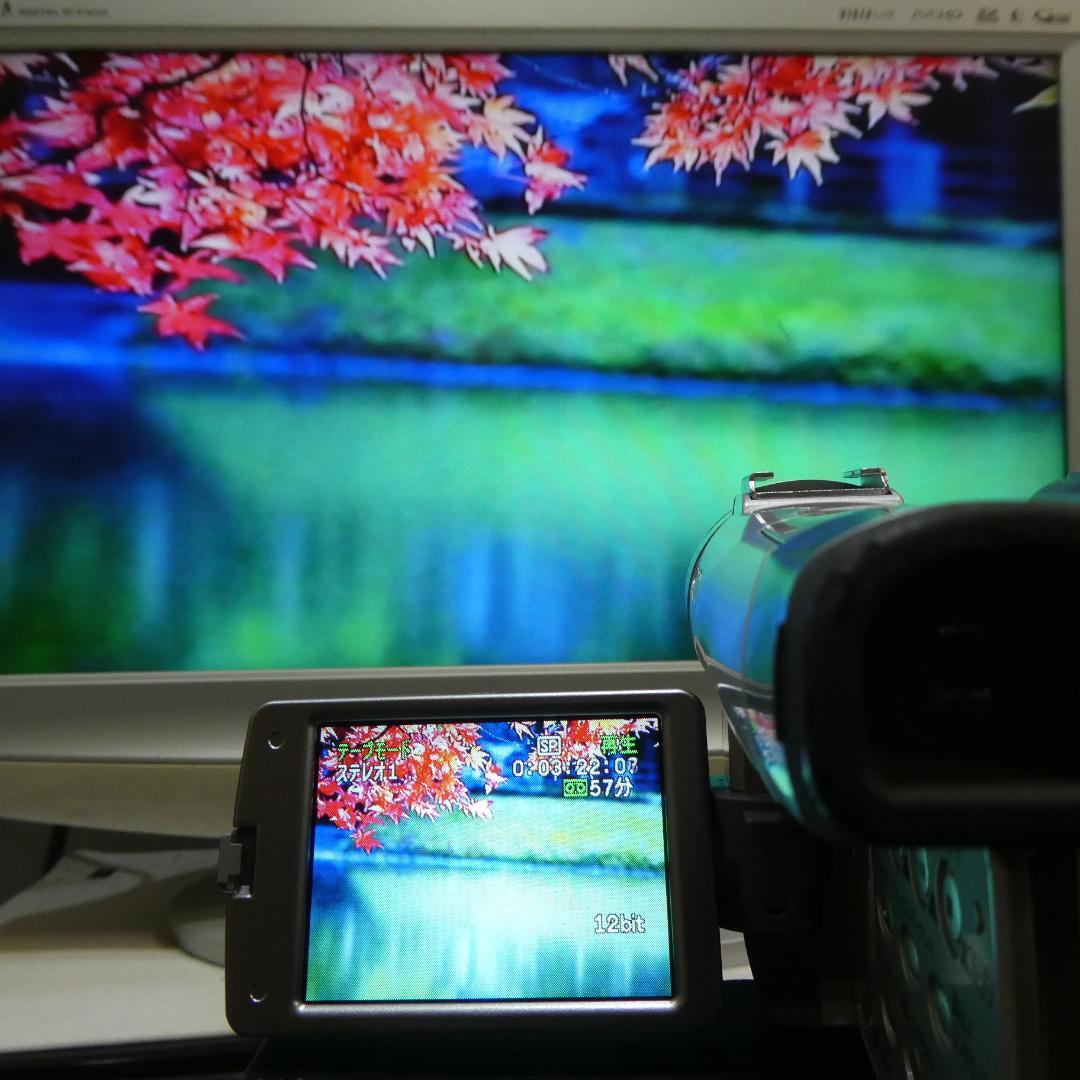 美品・動作良好 キャノン DM-FV M200 MiniDVビデオ DVD化に