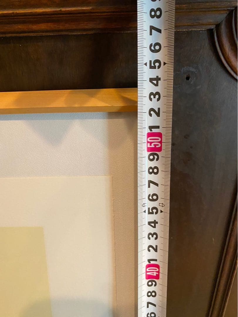 Alain Ragaru リトグラフ 額縁 インテリア ランの盛花