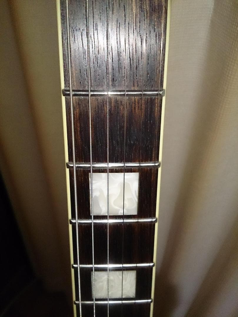 【ハードケース付属】 Burny SRSA65 ES-335タイプ