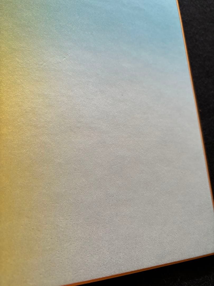 百瀬寿 1984年 シルクスクリーン 作品のみ 色紙用額縁に入れて下さい