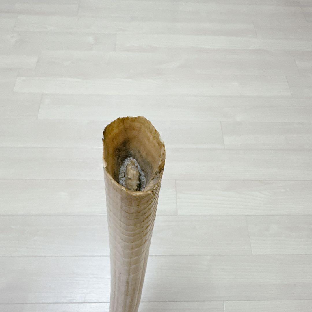 海象　セイウチ牙 1665g