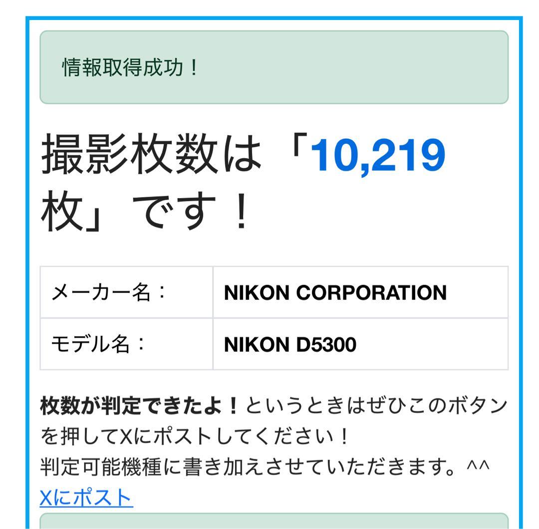 最終価格★NikonD530ズームレンズ純正バッテリー2個10219ショット