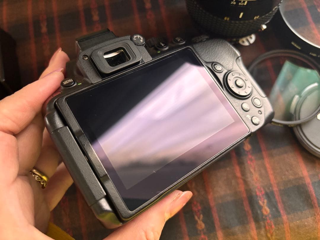 最終価格★NikonD530ズームレンズ純正バッテリー2個10219ショット