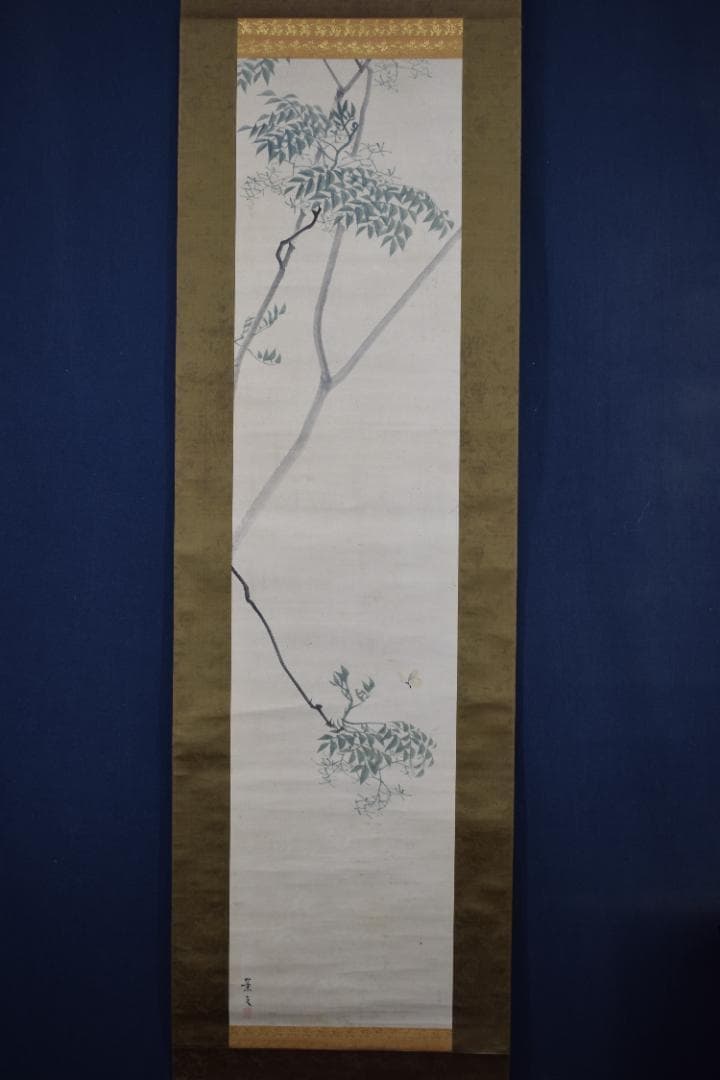 松村景文/蝶之図/花蝶図/掛軸/名家伝来/Z-517