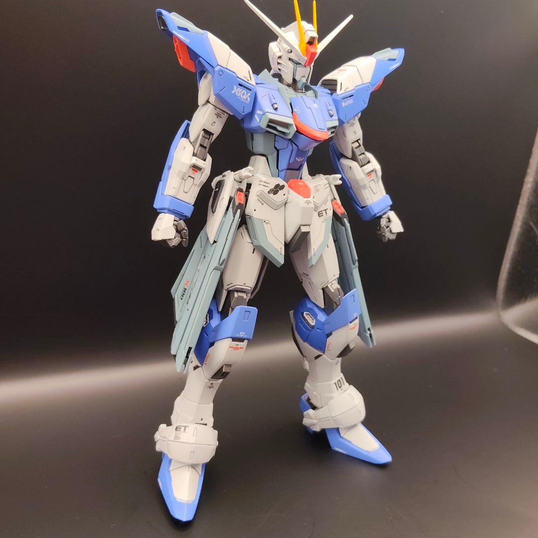 MG（ライジングフリーダム風）フリーダムガンダムver.2.0 全塗装