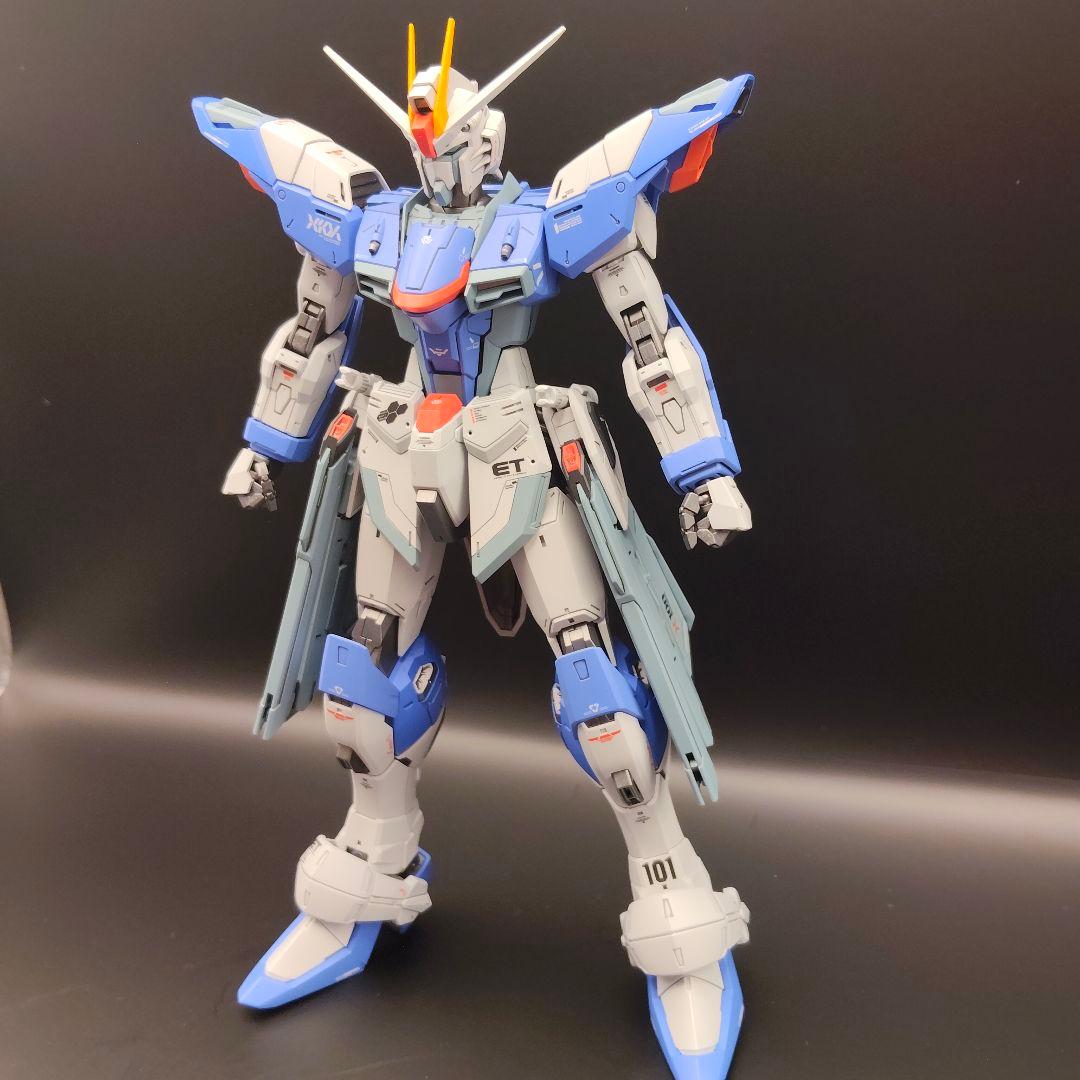 MG（ライジングフリーダム風）フリーダムガンダムver.2.0 全塗装