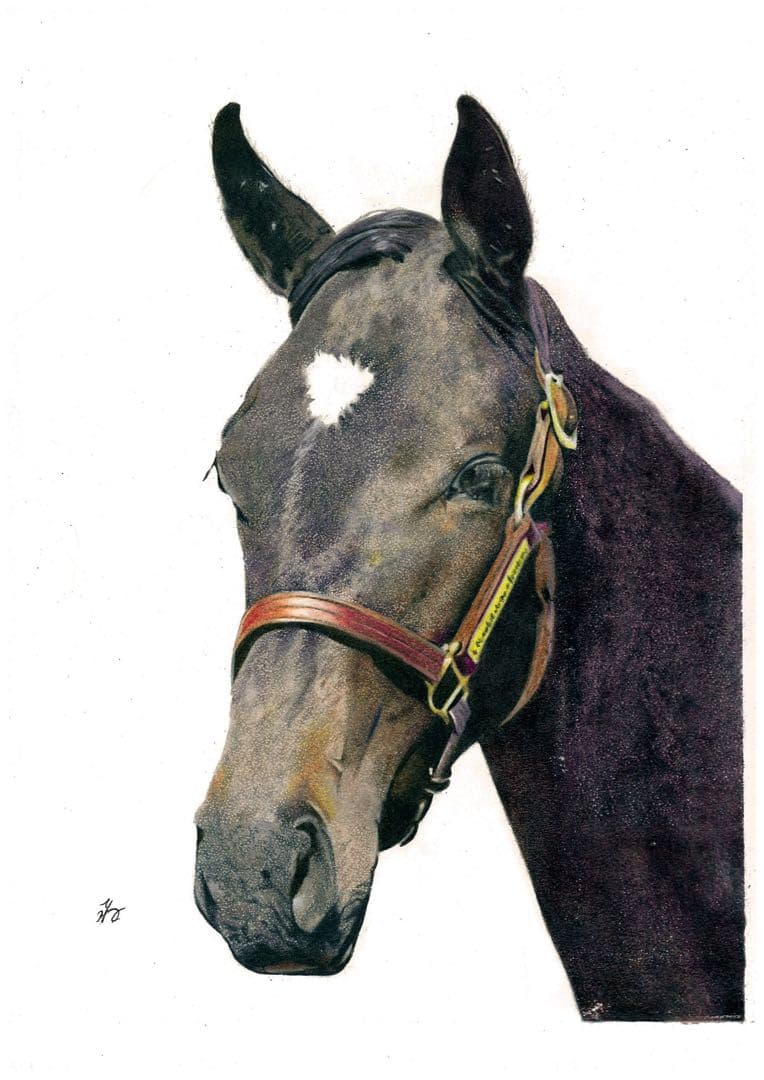 色鉛筆画 馬の肖像 原画 A4サイズ フレーム付き