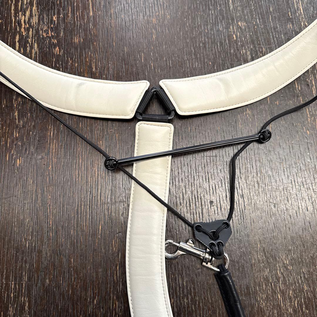 BREATHTAKING ブレステイキング　ライザプレミアムⅡ-R