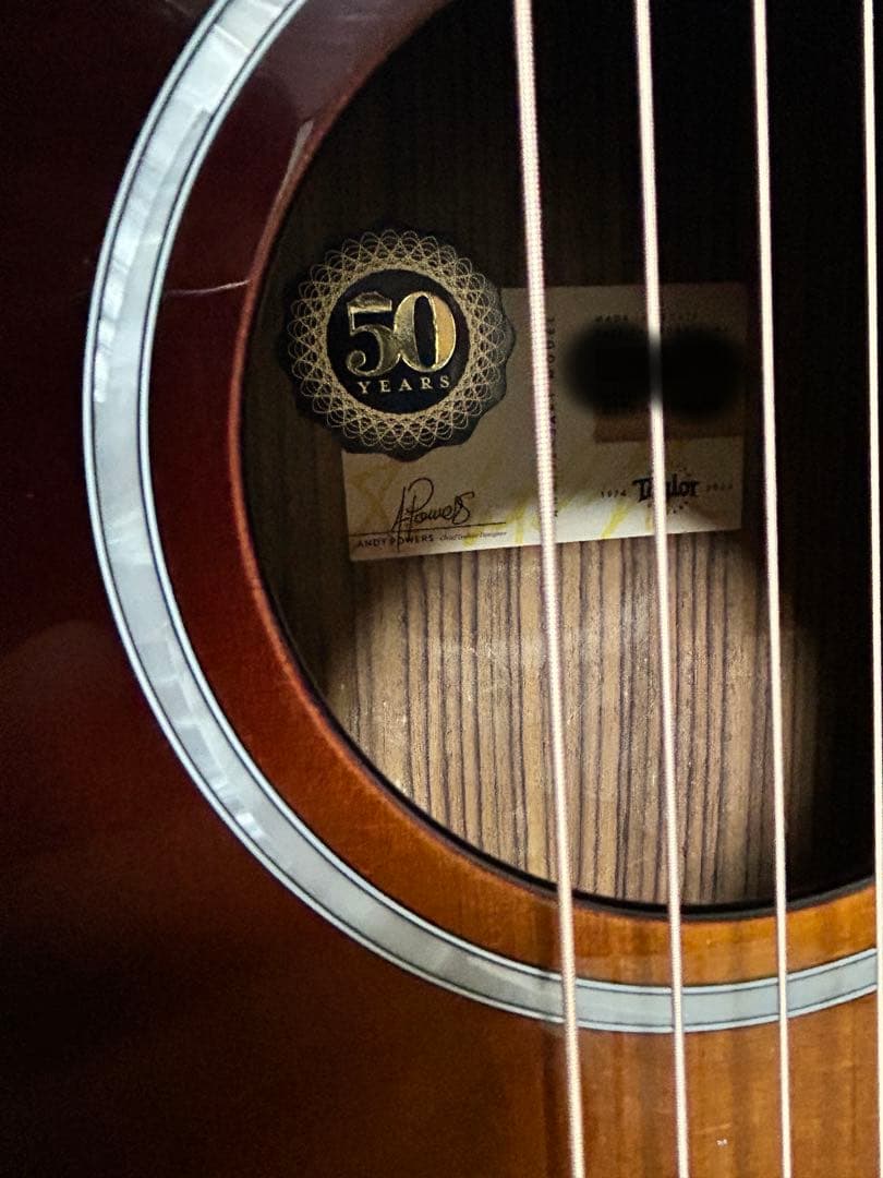 新年価格❗️Taylorエレアコ217e plus Ltd 50thアニバーサリー