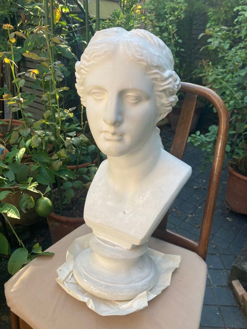 石膏像 ミロのヴィーナス 胸像 美術　デッサン　オブジェ