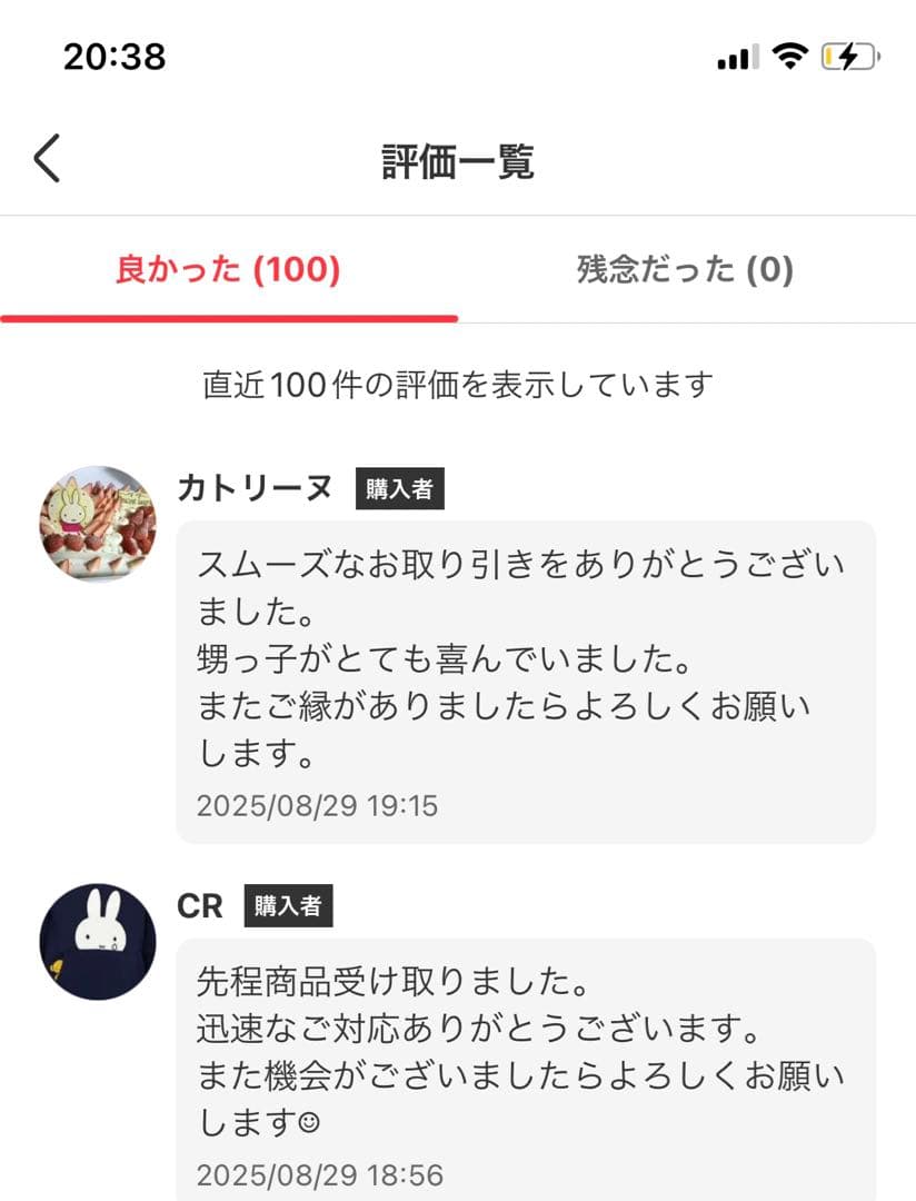 LABUBU THE MONSTERS Big into Energy アソート