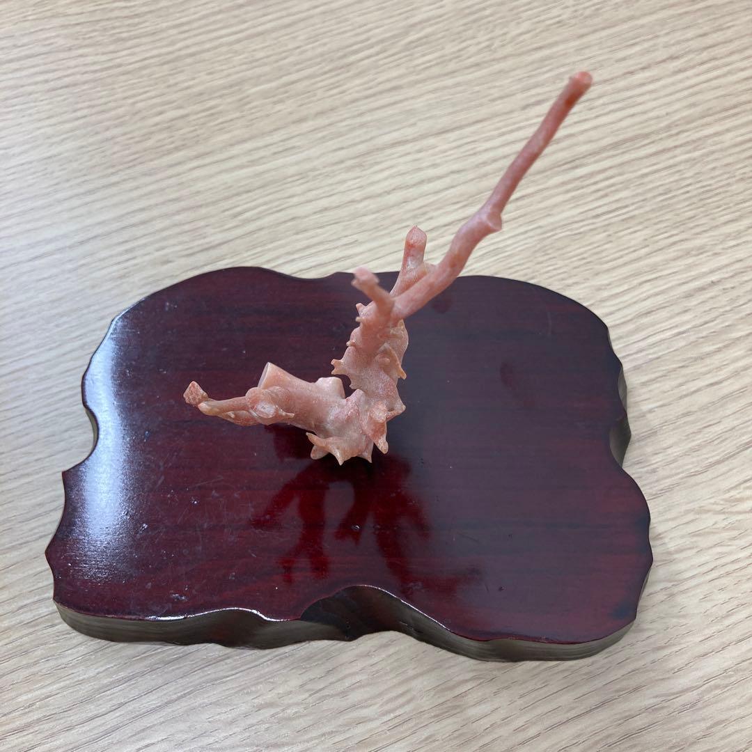 天然桃色珊瑚 枝サンゴ 原木 台座付き インテリア 置物