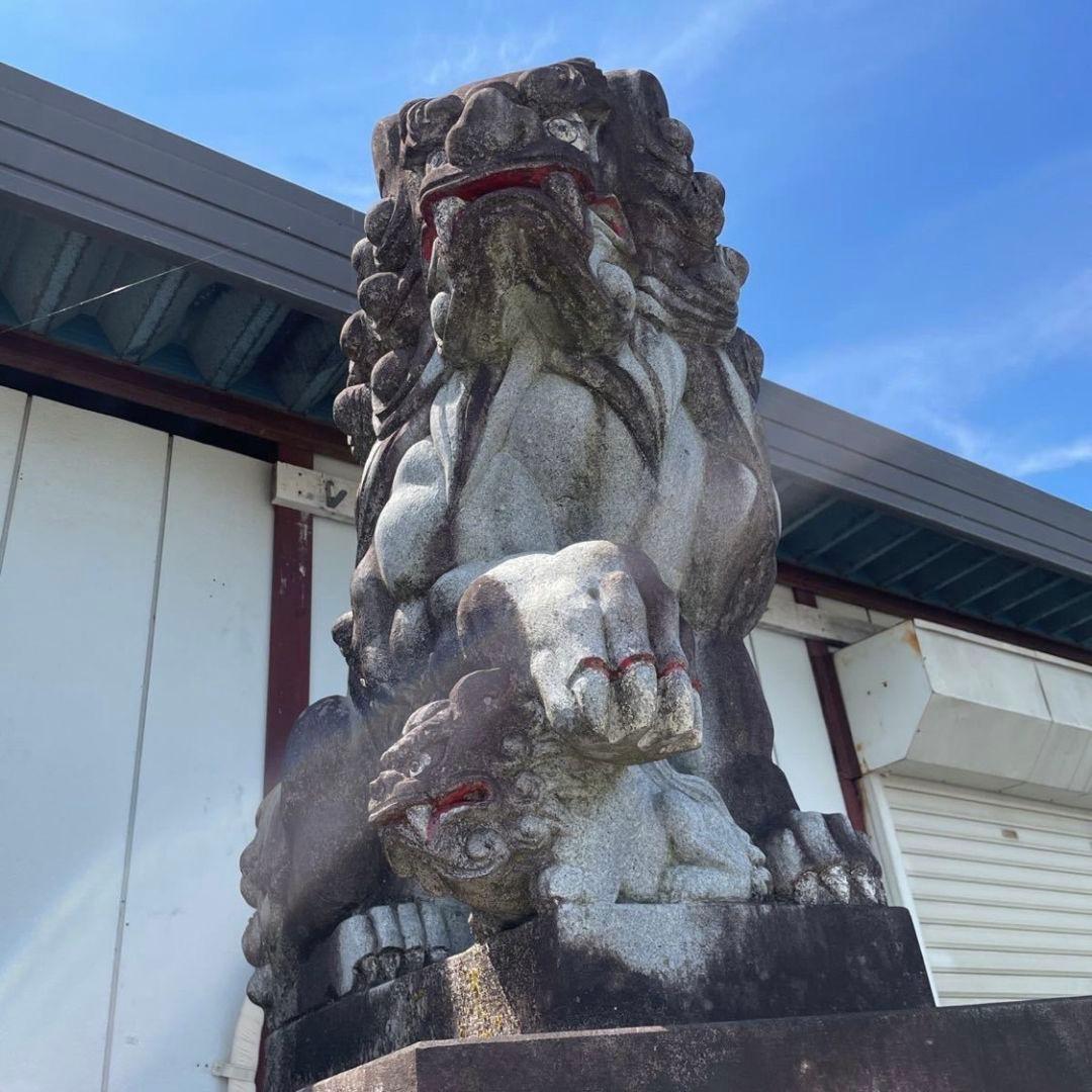 引き取り限定 狛犬 子供 玉付き 特大 石像 台付き 1対