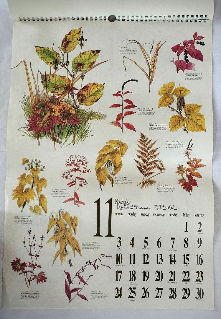 BE-PAL ビーパル カレンダー 新品未使用 1996年　ヴィンテージ