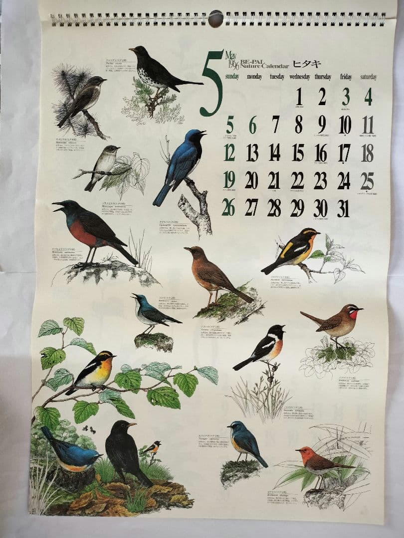BE-PAL ビーパル カレンダー 新品未使用 1996年　ヴィンテージ