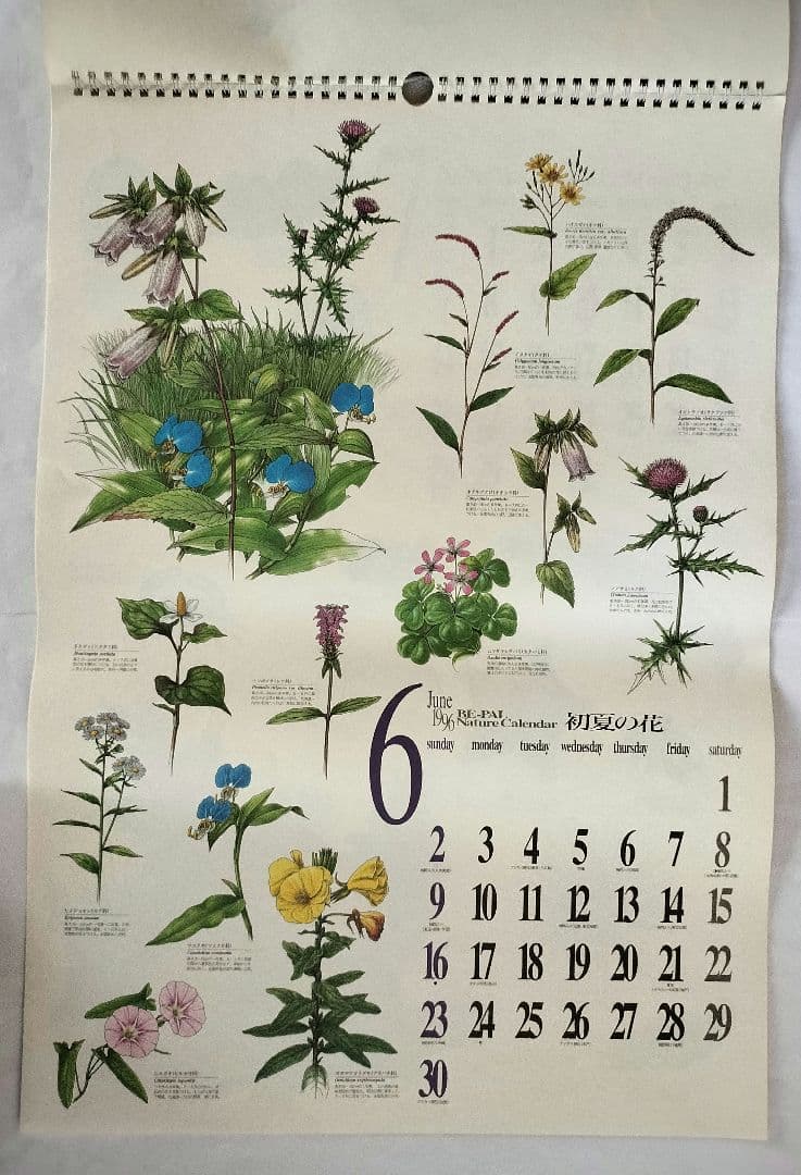 BE-PAL ビーパル カレンダー 新品未使用 1996年　ヴィンテージ