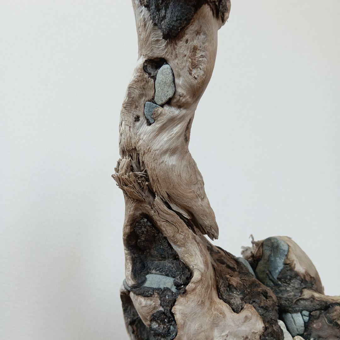 流木　石抱き　NO.95