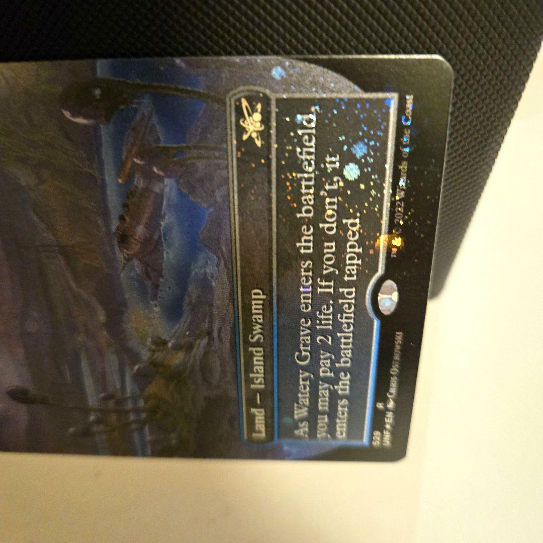 ラスト一枚【ギャラクシー・Foil】限定(529)■ボーダーレス■湿った墓　希少