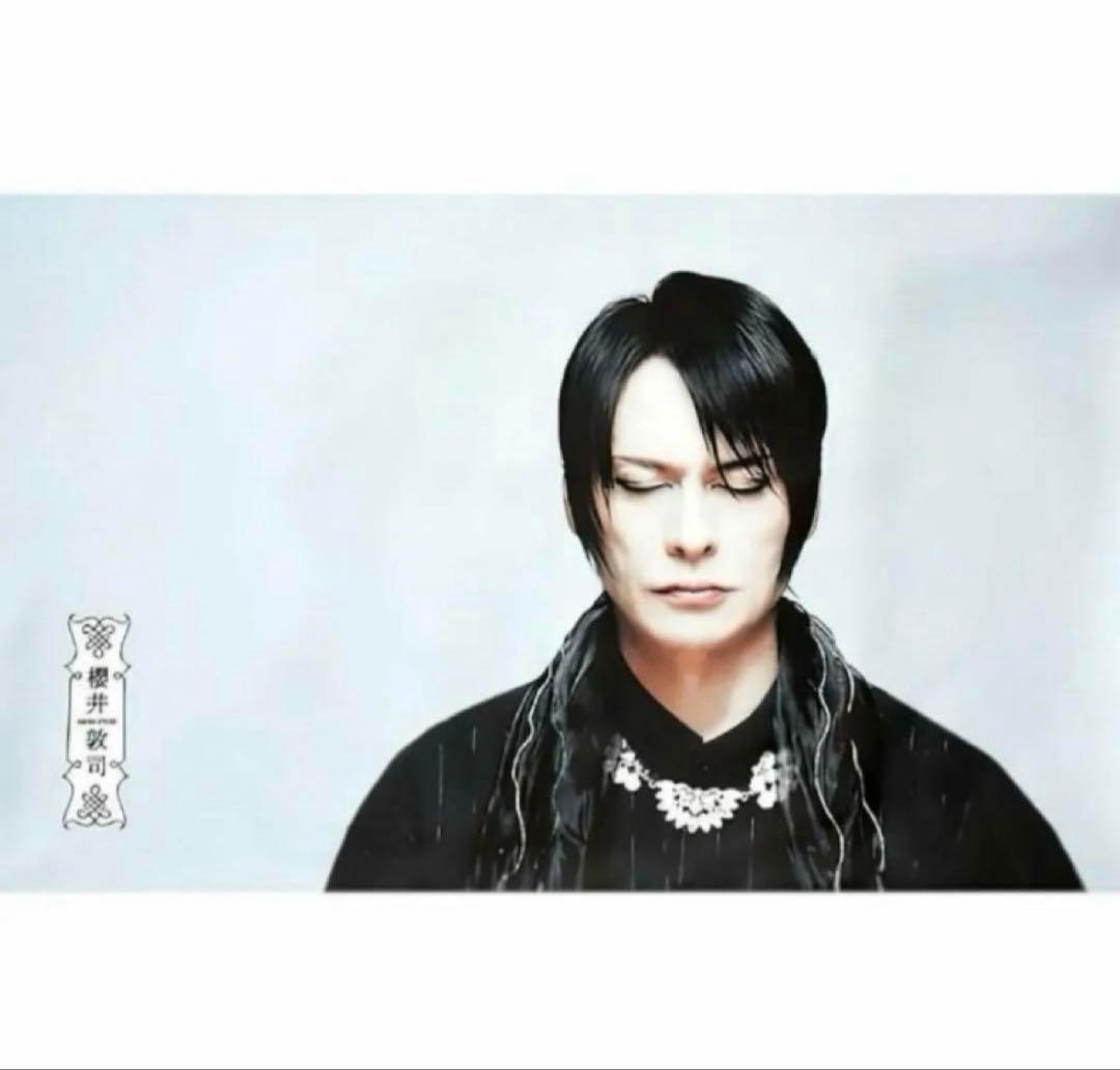 櫻井プロデュース　 あっちゃん　枕カバー　A