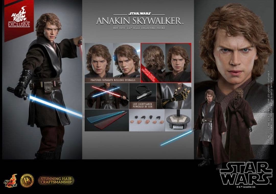 【未開封】ホットトイズ アナキン・スカイウォーカー 【DX アルチザン】