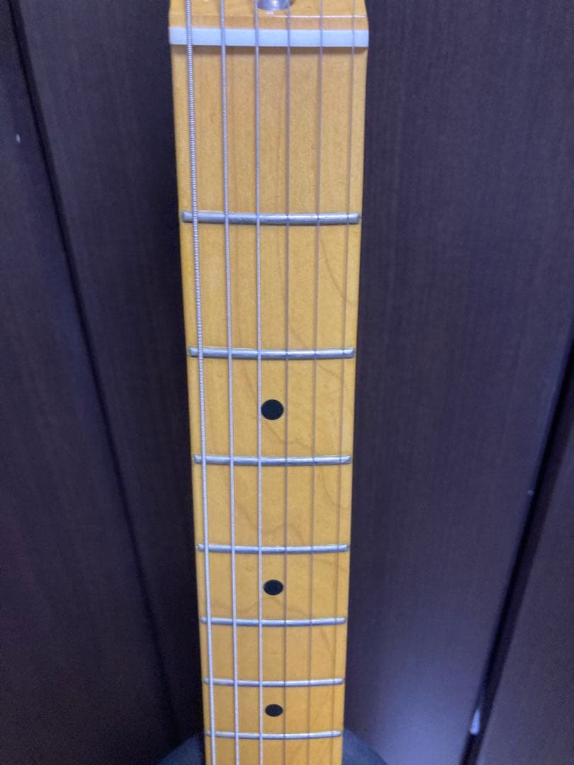 History Z1M-CFS 2TS 厚手専用ケース付き フジゲン製造