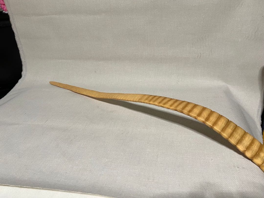 フィギュア エイリアン フェイスハガー ＤＶＤ　ソフビ