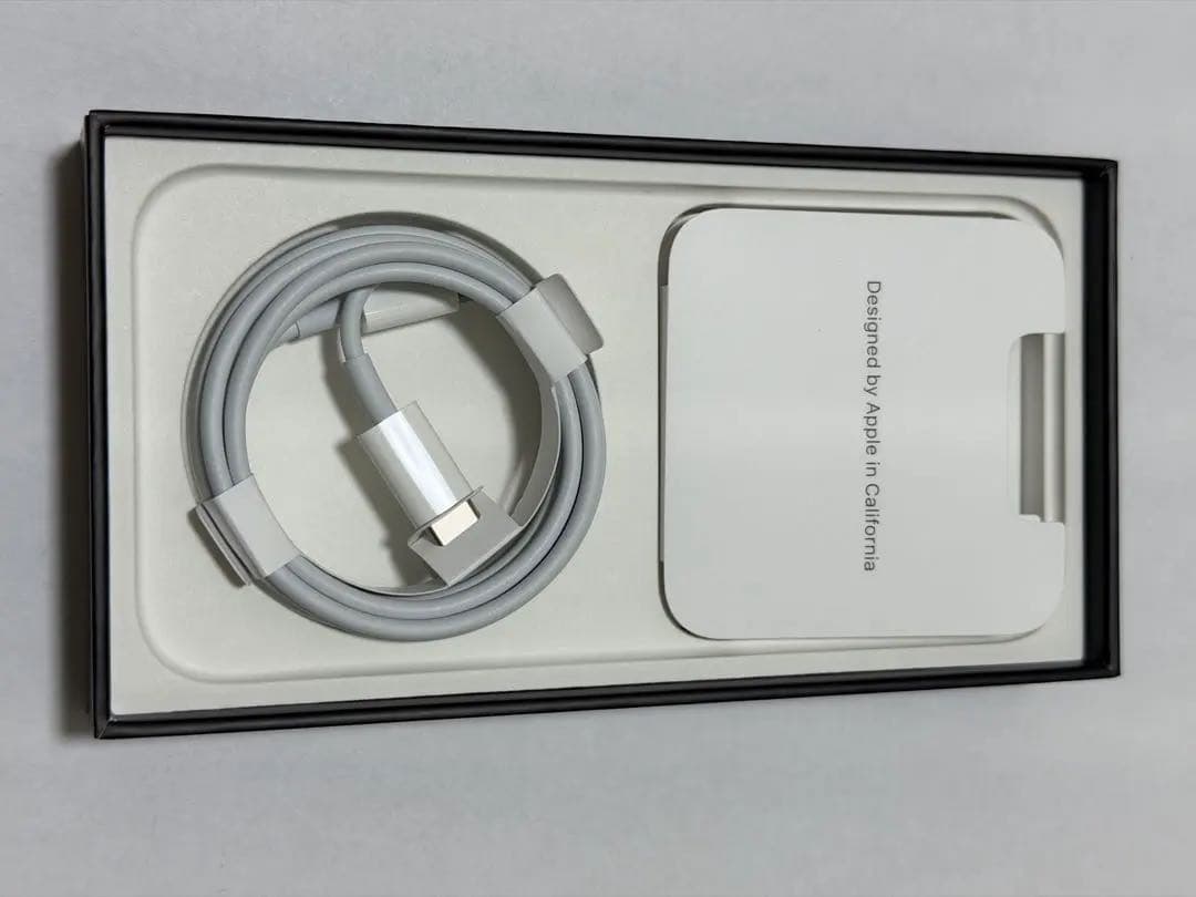 【バッテリー100%】Apple iPhone 13 Pro 256GB