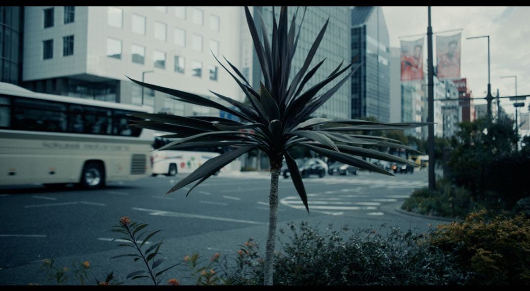 ZEISS CP.3 35mm T2.1 シネマレンズ　シネマカメラ