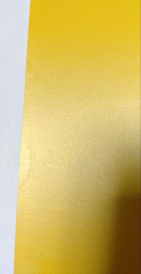 東京スカパラダイスオーケストラ NO MUSIC NO LIFE ポスター B1