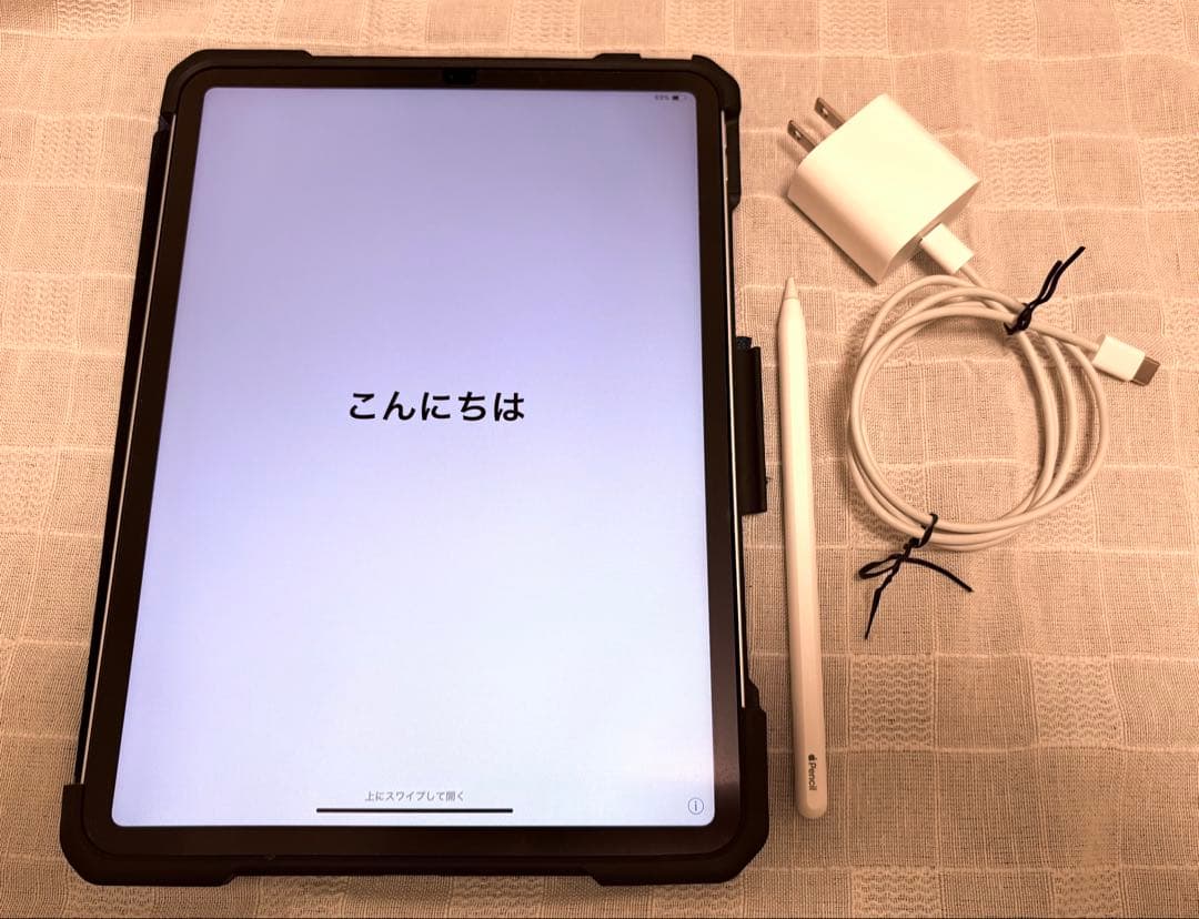iPad Pro 11インチ第1世代256GB Apple Pencil第2世代