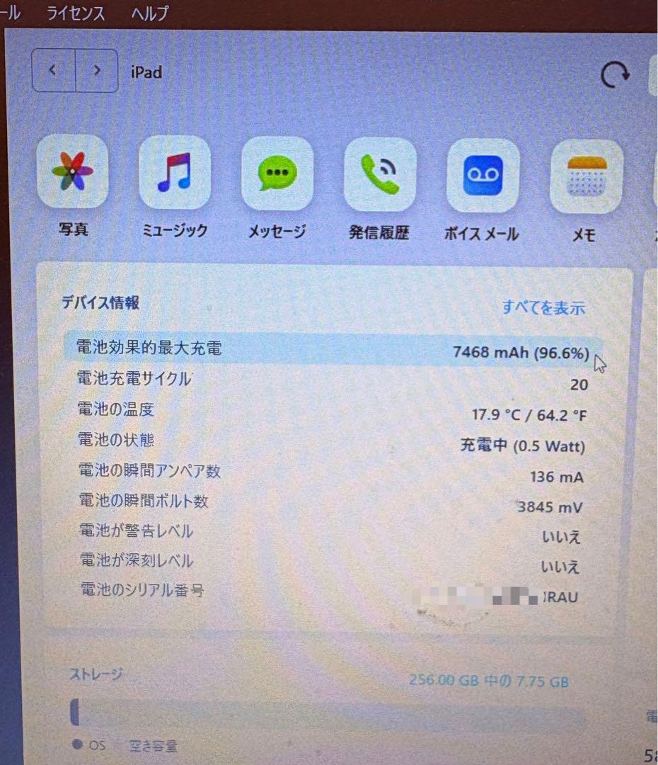 iPad Pro 11インチ第1世代256GB Apple Pencil第2世代