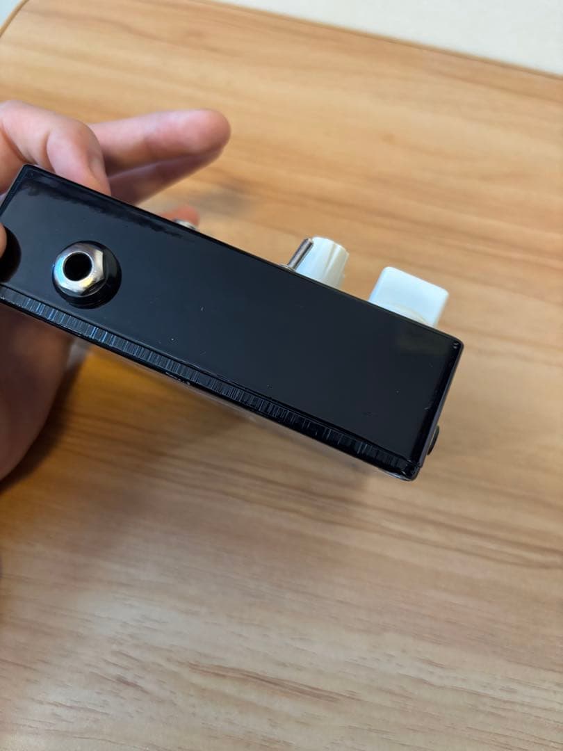 vivie Rhinotes ベースエフェクター箱あり