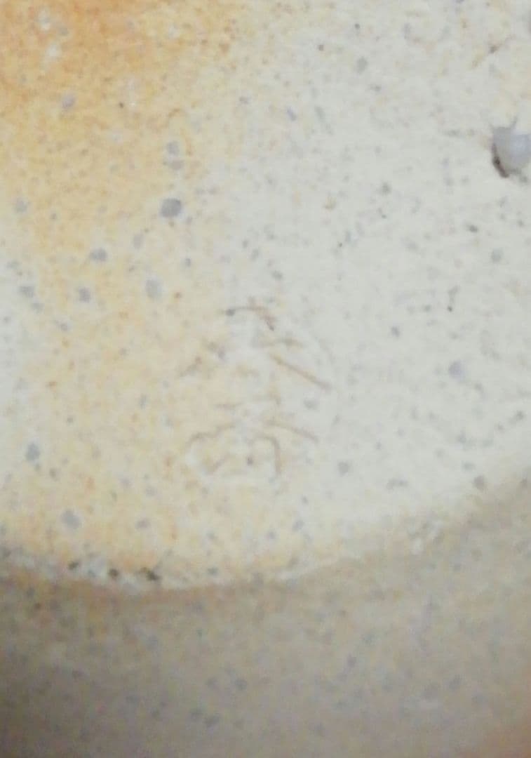 高橋春斎作　信楽焼　芋欽　水指　共箱　共布　略歴付　茶道具