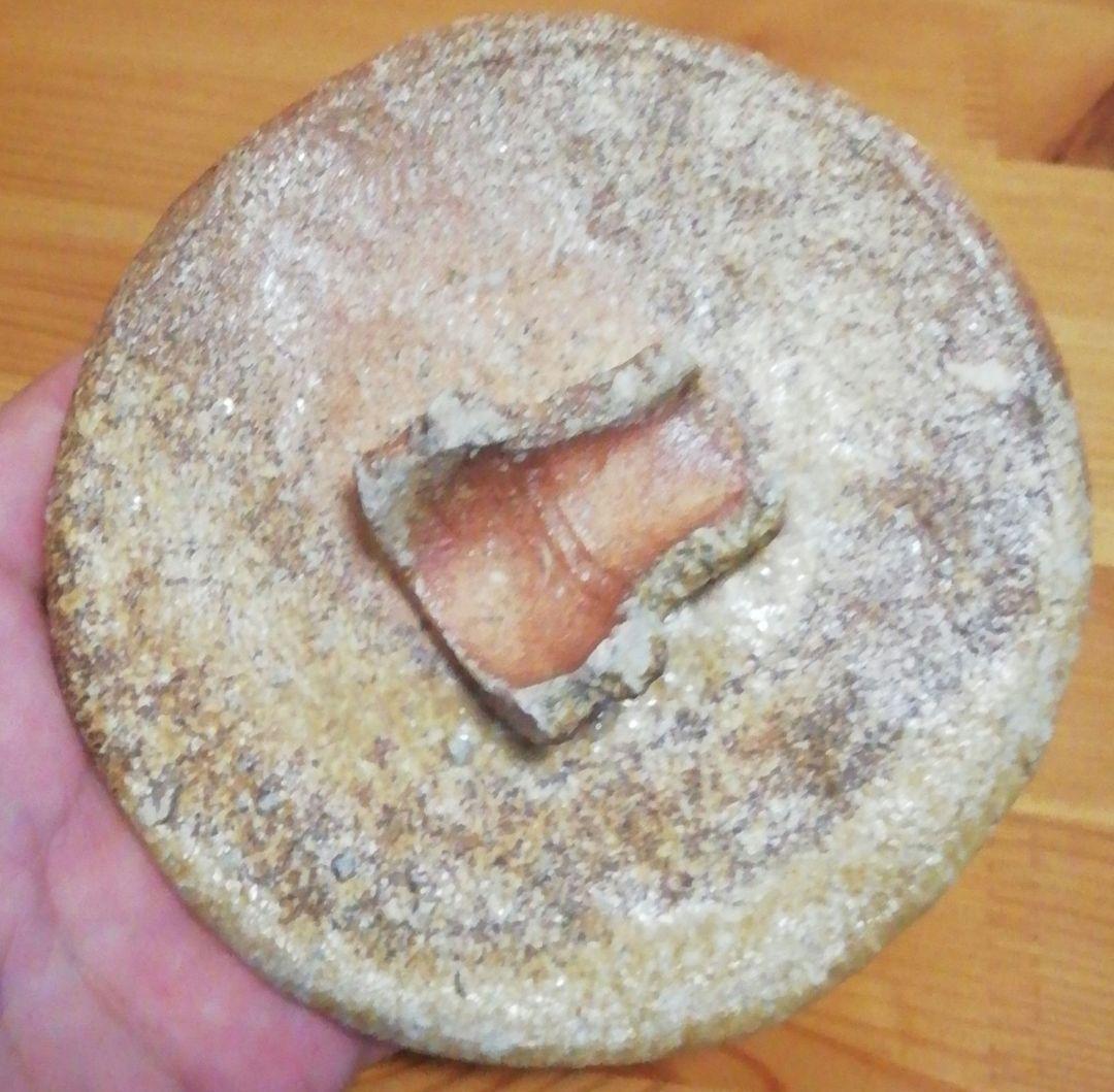 高橋春斎作　信楽焼　芋欽　水指　共箱　共布　略歴付　茶道具