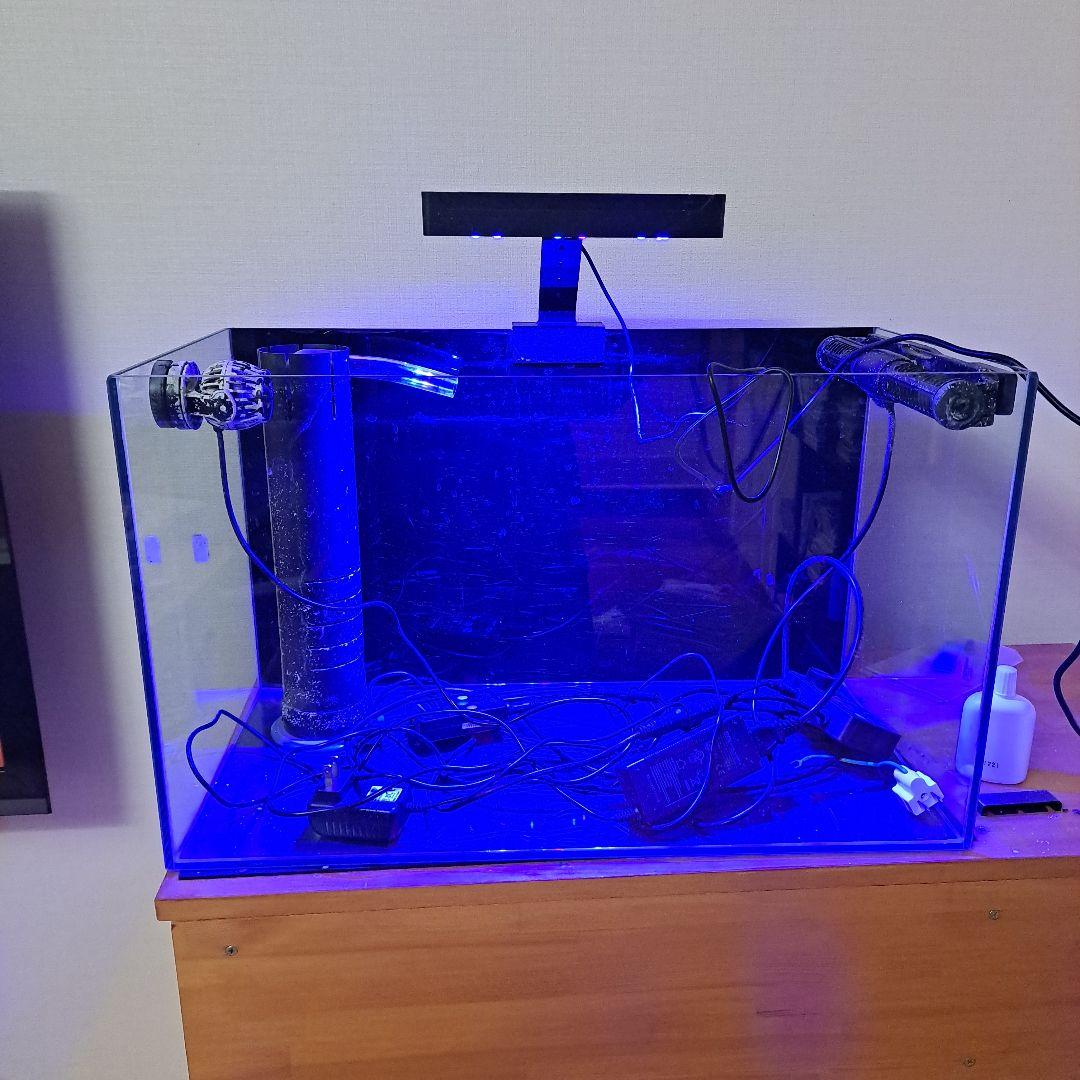 オーバーフロー水槽 透明ガラス LED照明付き 説明文要参照