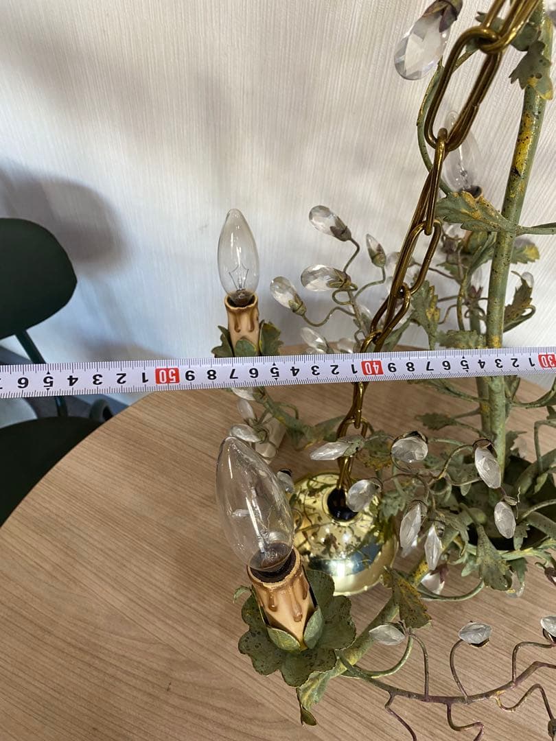 De Luce ド・ルーチェ シャンデリア　5灯　植物　アンティーク