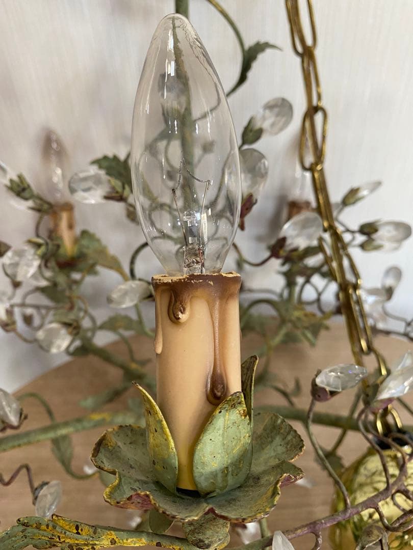 De Luce ド・ルーチェ シャンデリア　5灯　植物　アンティーク