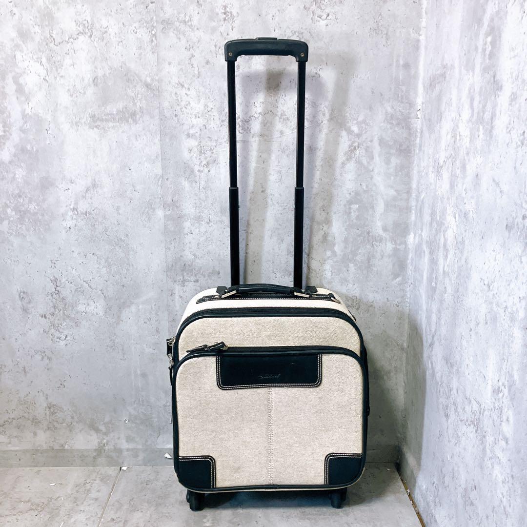 【希少】SWANY キャリーバッグ 4輪 機内持ち込み可