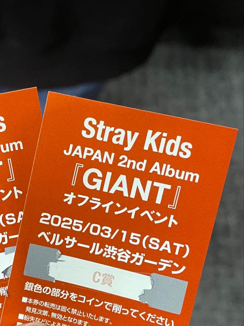 Straykids フィリックス メンバー直筆サイン入り東京ドームソロフラッグ