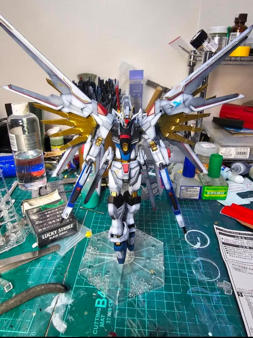 HG　マイティーストライクフリーダムガンダム　塗装完成品