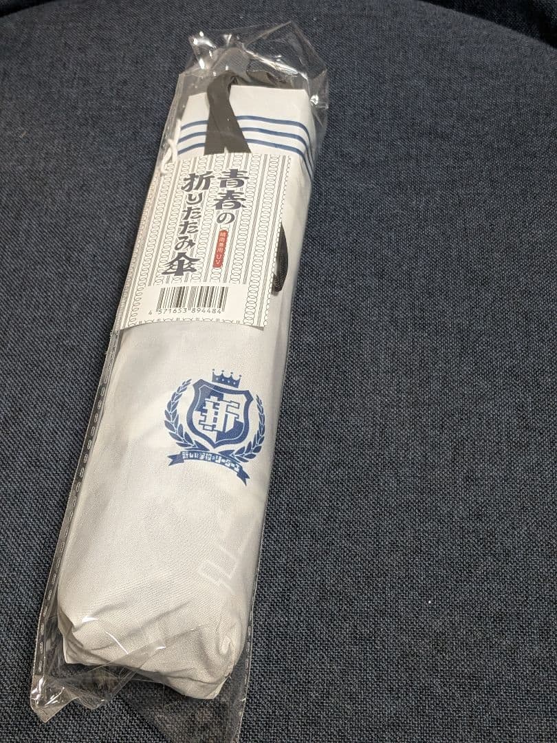 直筆サイン入タペストリー+青春傘+オンラインくじセット新しい学校のリーダーズ