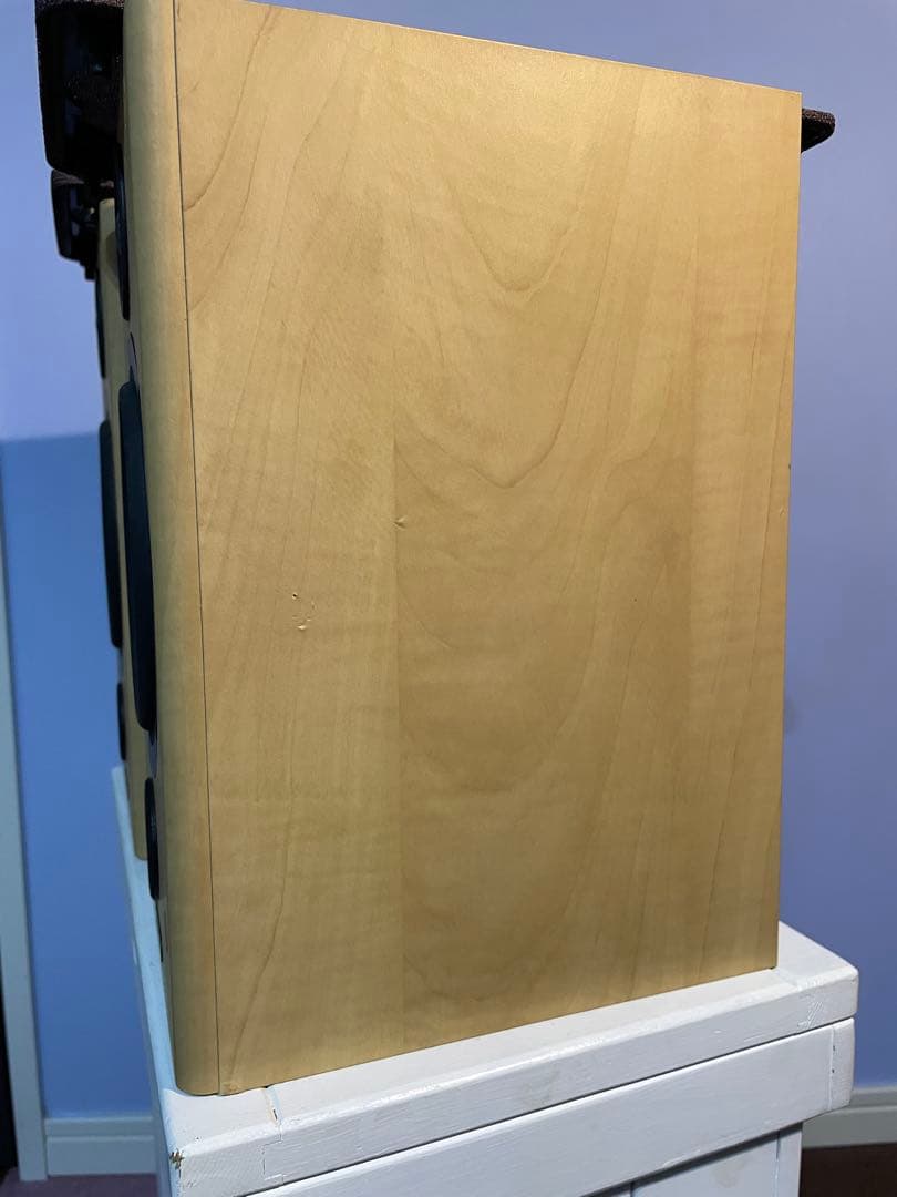 イギリス　TANNOY Fusion 1 ブックシェルフスピーカー シリアル連番