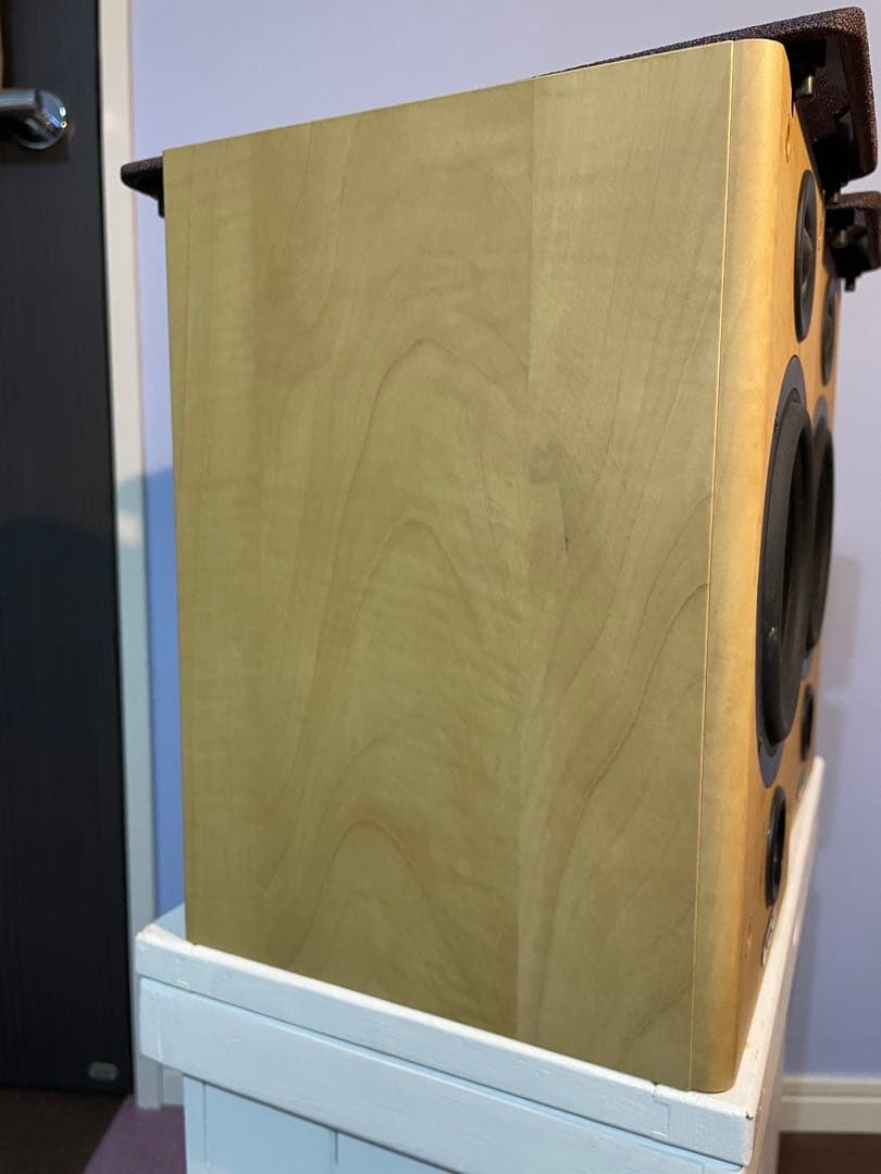 イギリス　TANNOY Fusion 1 ブックシェルフスピーカー シリアル連番