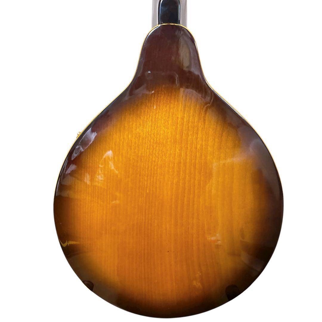 希少1970年代 Bluebell(ブルーベル)フラットマンドリン/ Hケース付