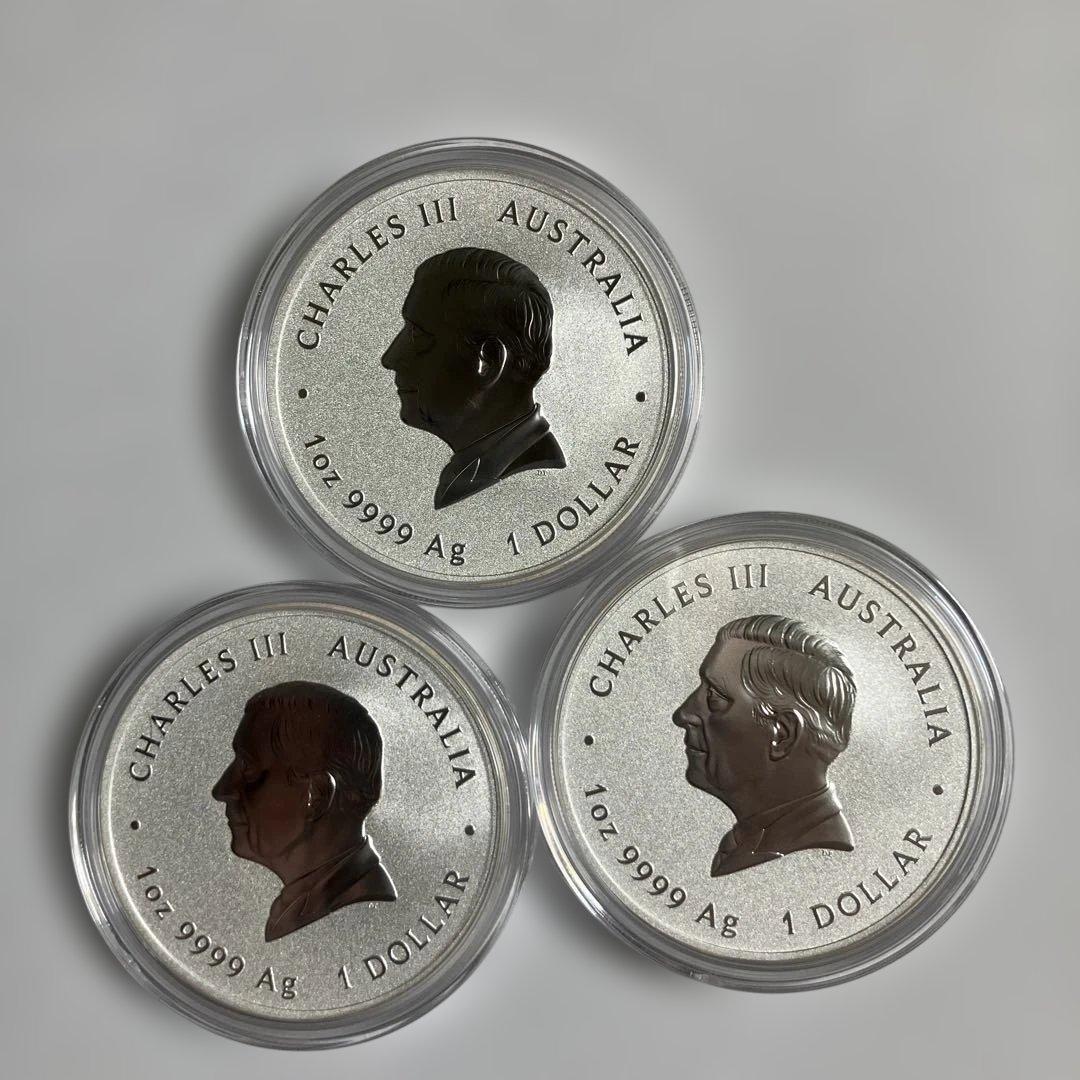 2025年蛇銀貨3枚