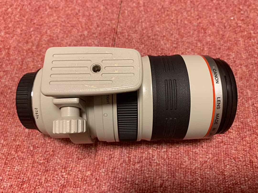 レンズ(ズーム) Canon EF 35-350mm f3.5-5.6L USM